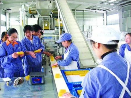 日化皮带输送线机械设备与各行各业同生存，共发展！