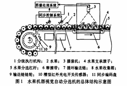 水果自动分拣输送机分级卸料原理